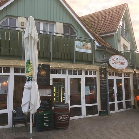 Fewo II Villa Nicole Hafenstrasse 37 Zingst Dış mekan fotoğraf