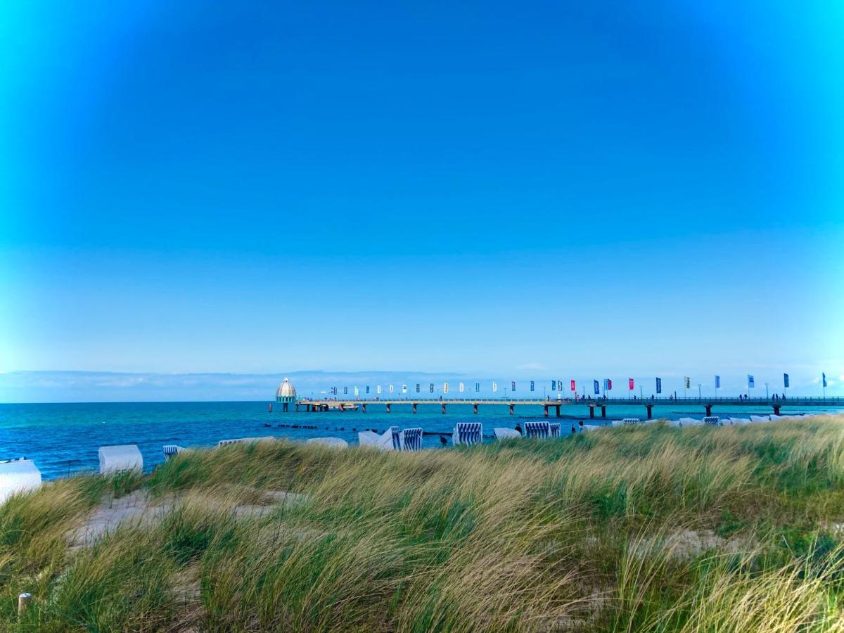 Fewo II Villa Nicole Hafenstrasse 37 Zingst Dış mekan fotoğraf