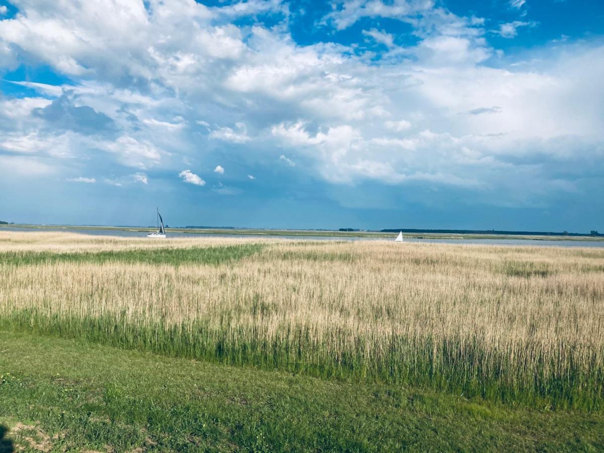 Fewo II Villa Nicole Hafenstrasse 37 Zingst Dış mekan fotoğraf