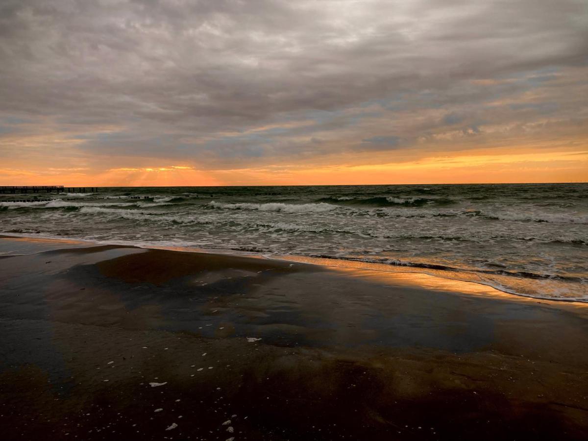 Fewo II Villa Nicole Hafenstrasse 37 Zingst Dış mekan fotoğraf